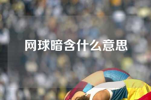 网球暗含什么意思
