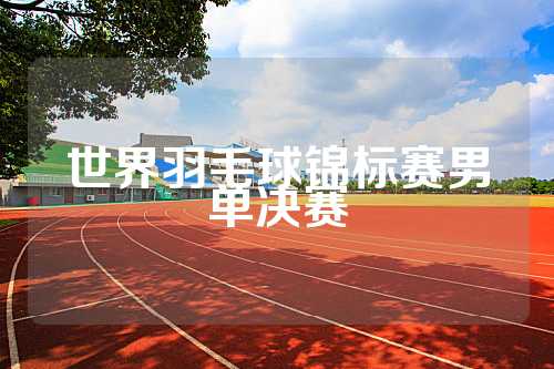 世界羽毛球锦标赛男单决赛