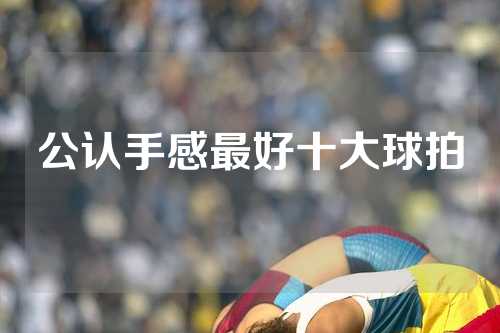 公认手感最好十大球拍