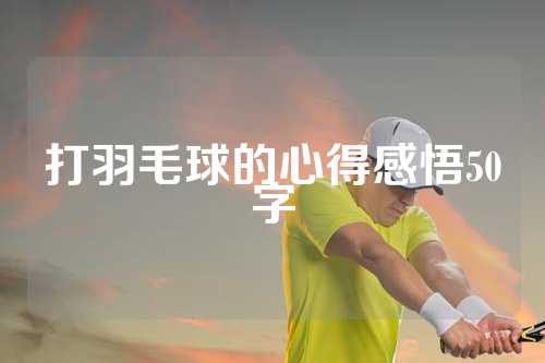 打羽毛球的心得感悟50字