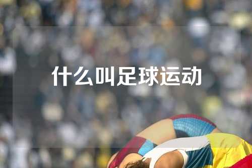 什么叫足球运动