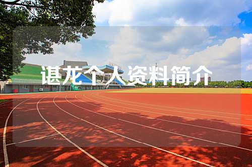 谌龙个人资料简介