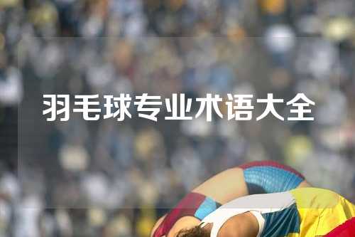 羽毛球专业术语大全
