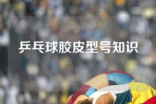 乒乓球胶皮型号知识