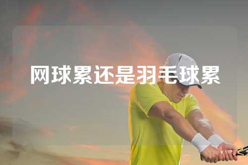 网球累还是羽毛球累