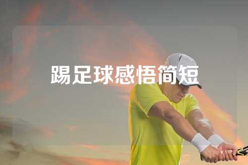 踢足球感悟简短