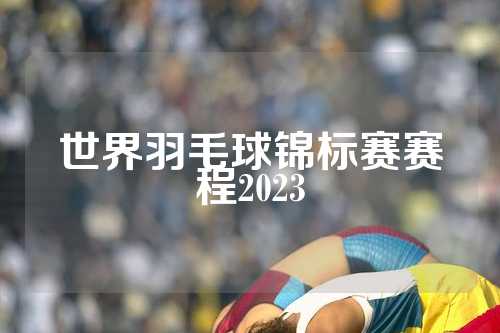 世界羽毛球锦标赛赛程2023