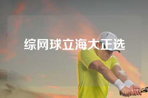 综网球立海大正选