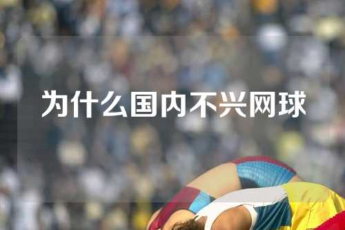 为什么国内不兴网球