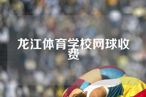 龙江体育学校网球收费