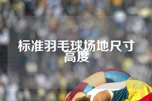 标准羽毛球场地尺寸高度