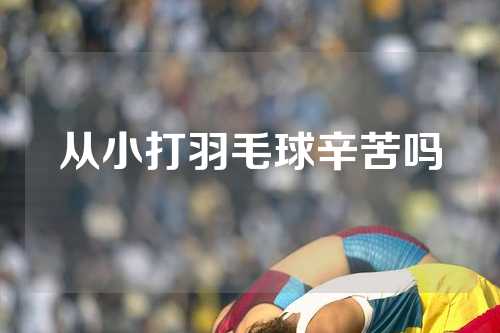从小打羽毛球辛苦吗