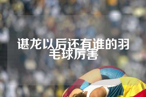 谌龙以后还有谁的羽毛球厉害