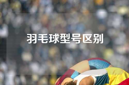 羽毛球型号区别