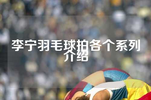 李宁羽毛球拍各个系列介绍
