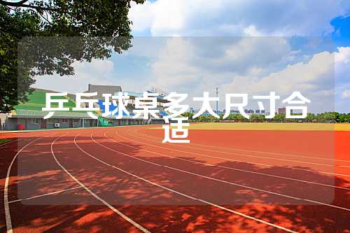 乒乓球桌多大尺寸合适