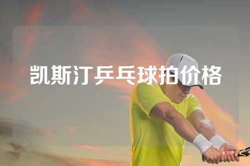 凯斯汀乒乓球拍价格