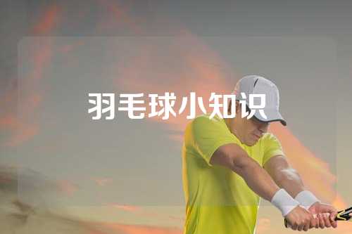 羽毛球小知识
