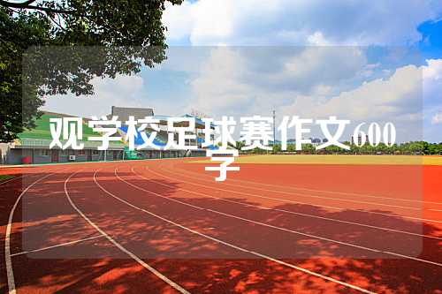 观学校足球赛作文600字