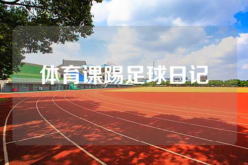 体育课踢足球日记