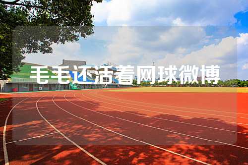 毛毛还活着网球微博
