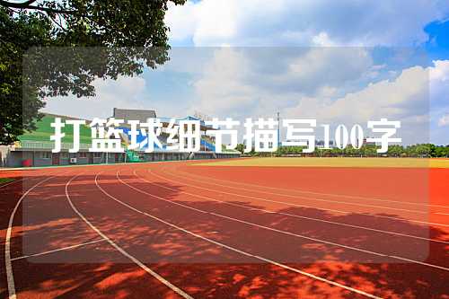 打篮球细节描写100字