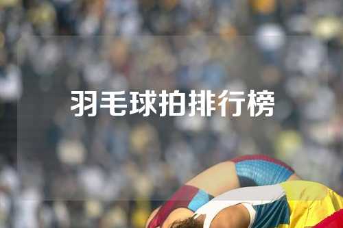 羽毛球拍排行榜