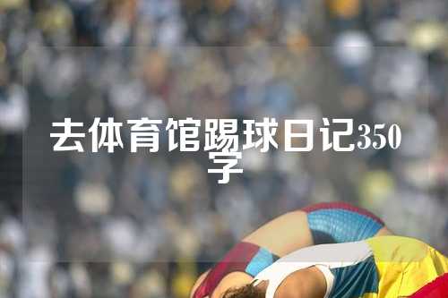 去体育馆踢球日记350字