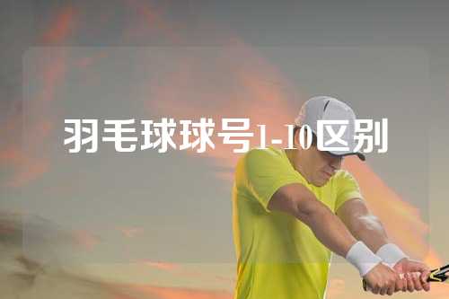 羽毛球球号1-10区别