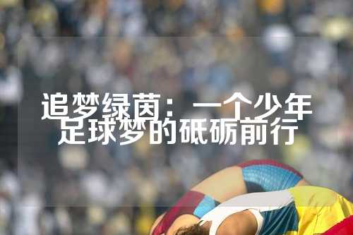 追梦绿茵：一个少年足球梦的砥砺前行