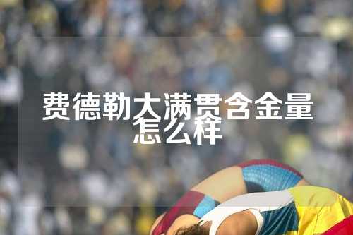 费德勒大满贯含金量怎么样