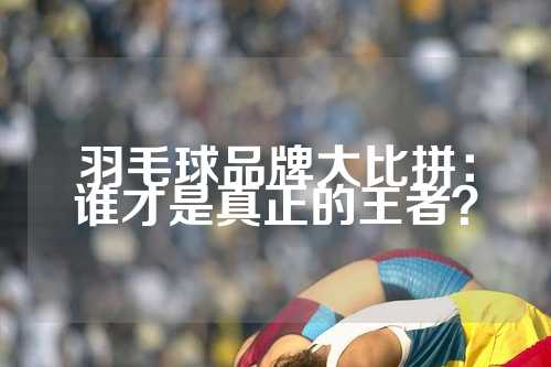 羽毛球品牌大比拼：谁才是真正的王者？