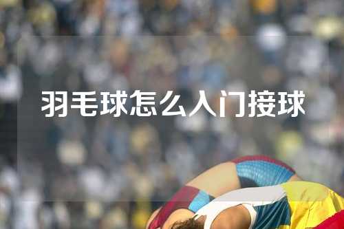 羽毛球怎么入门接球