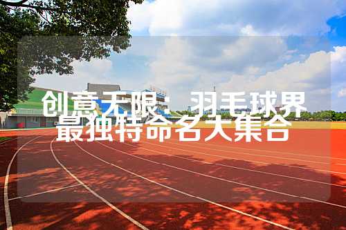 创意无限：羽毛球界最独特命名大集合