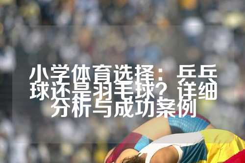 小学体育选择：乒乓球还是羽毛球？详细分析与成功案例