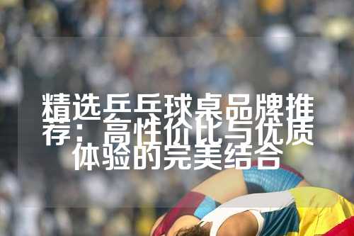 精选乒乓球桌品牌推荐：高性价比与优质体验的完美结合