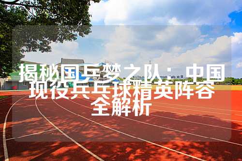 揭秘国乒梦之队：中国现役兵乓球精英阵容全解析