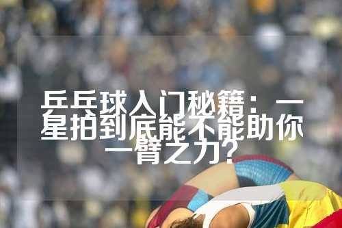 乒乓球入门秘籍：一星拍到底能不能助你一臂之力？
