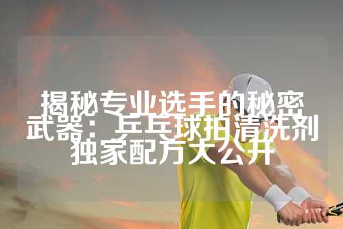 揭秘专业选手的秘密武器：乒乓球拍清洗剂独家配方大公开