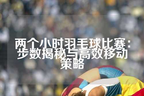 两个小时羽毛球比赛：步数揭秘与高效移动策略