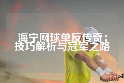 海宁网球单反传奇：技巧解析与冠军之路