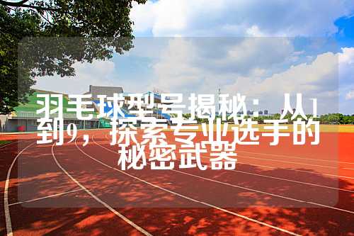 羽毛球型号揭秘：从1到9，探索专业选手的秘密武器