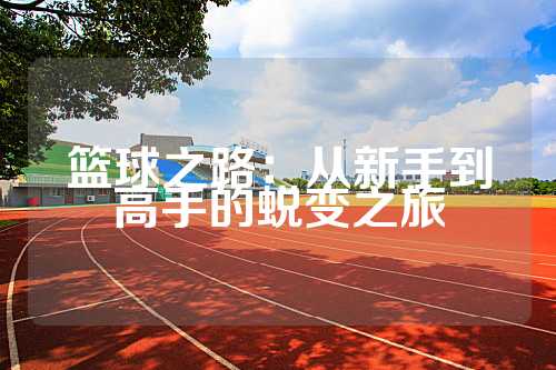 篮球之路：从新手到高手的蜕变之旅
