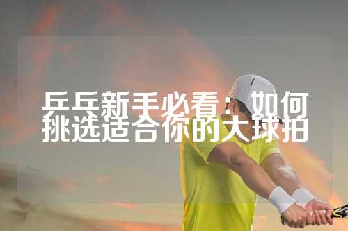 乒乓新手必看：如何挑选适合你的大球拍