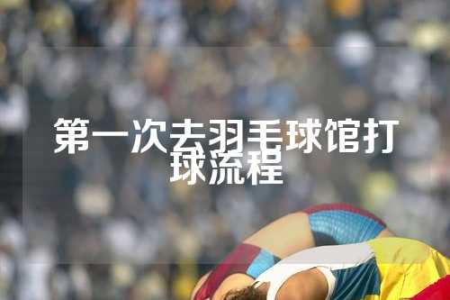 第一次去羽毛球馆打球流程