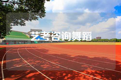 艺考咨询舞蹈