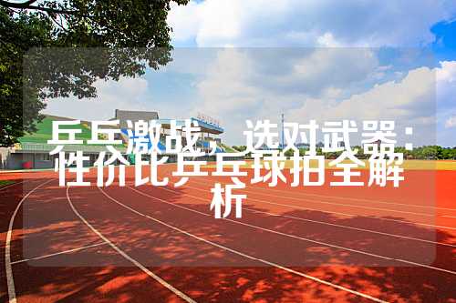乒乓激战，选对武器：性价比乒乓球拍全解析