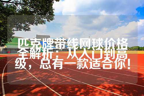 匹克牌带线网球价格全解析：从入门到高级，总有一款适合你！