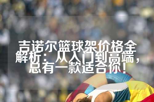 吉诺尔篮球架价格全解析：从入门到高端，总有一款适合你！