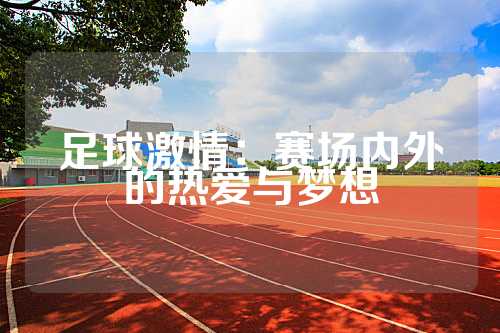 足球激情：赛场内外的热爱与梦想